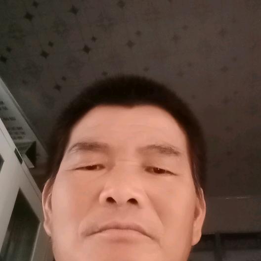 一生平安专业收树翟文里