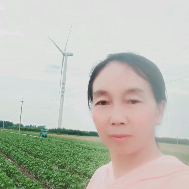 李兰姐
