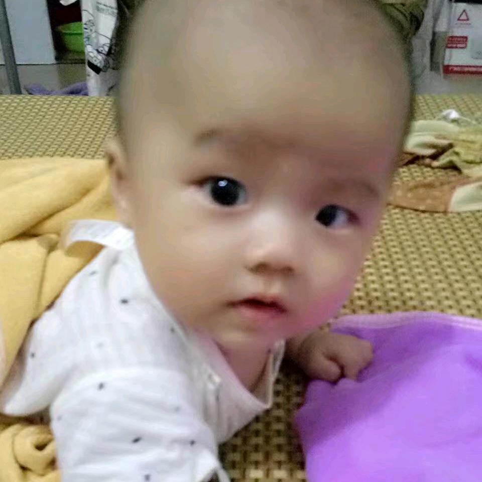 穿拖鞋的怪猫