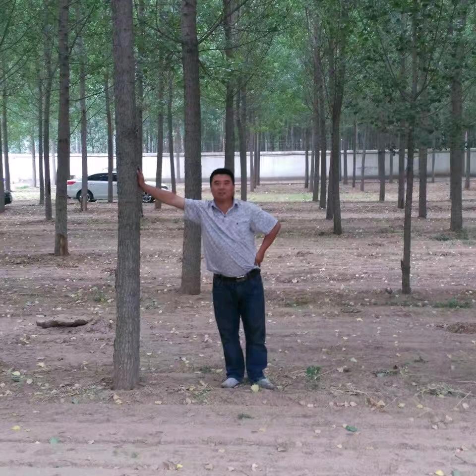 凯哥.