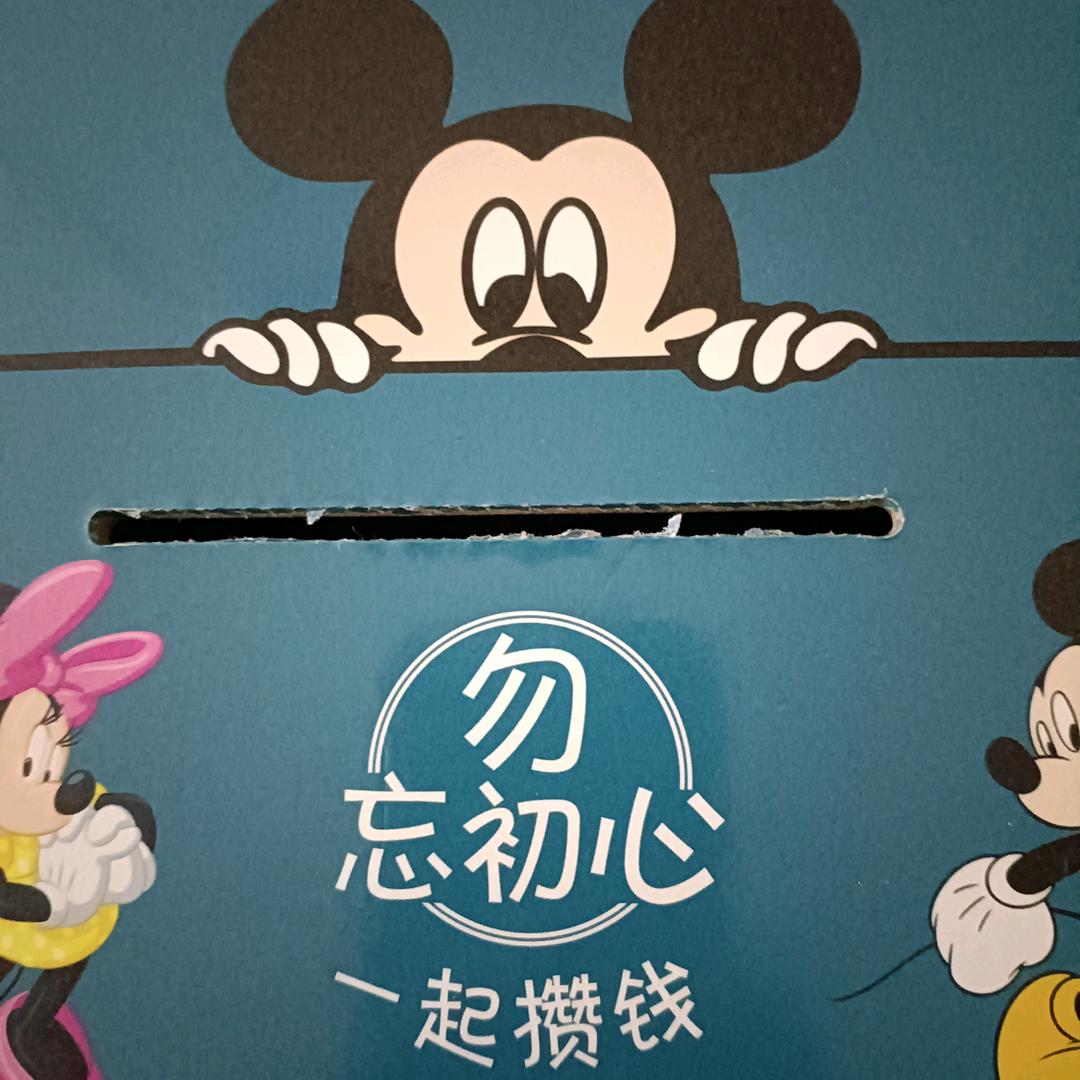 我的猪🐷