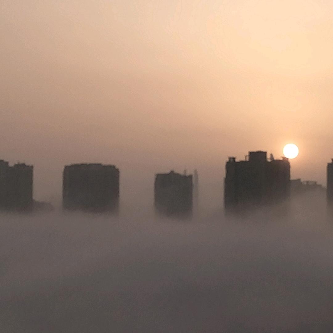 重生之我在工程学院卖鸡锁骨