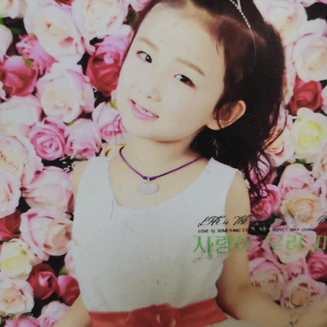 梦祥银红红火火