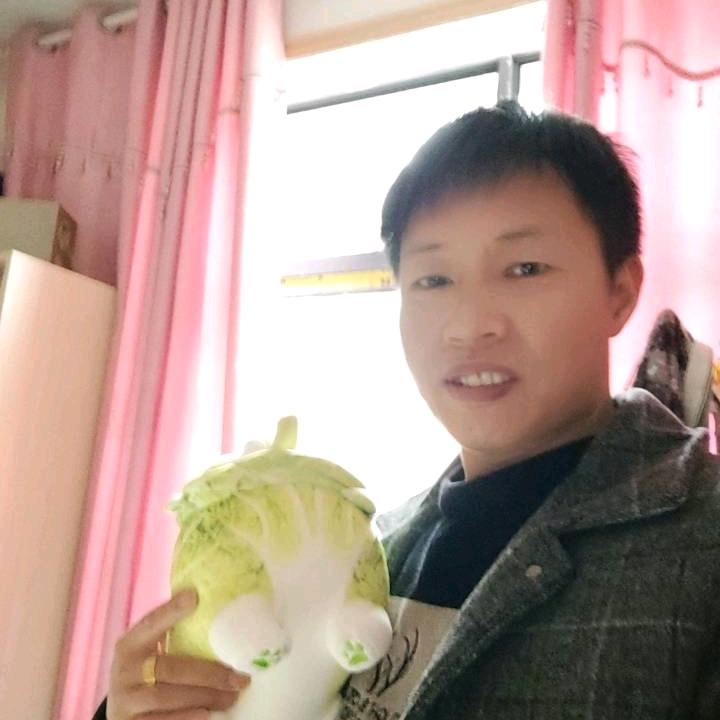 宝哥