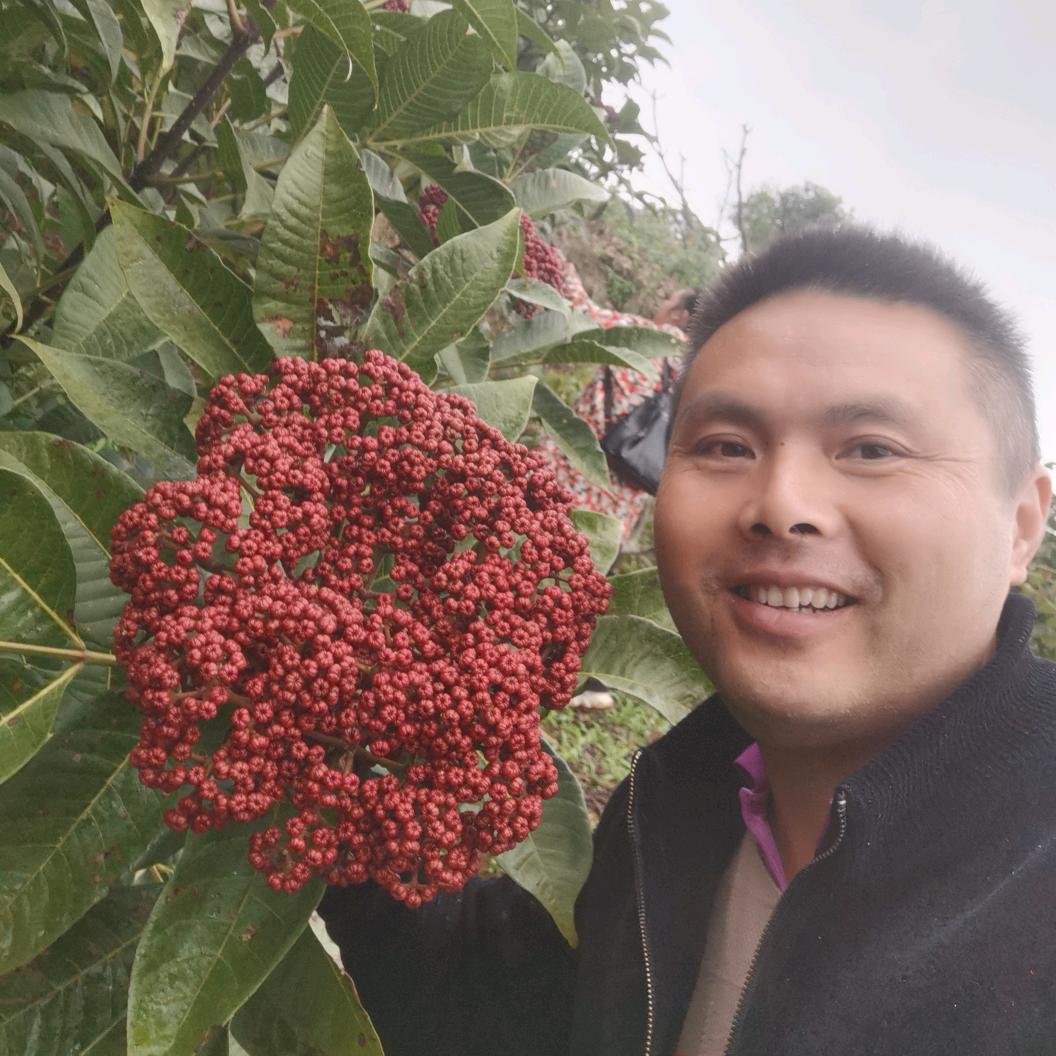 人从众家电维修部