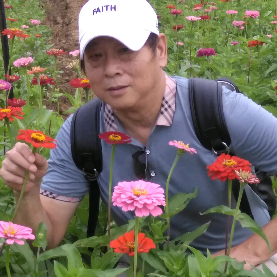 佐罗