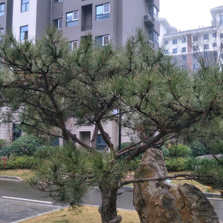 @家有三宝
