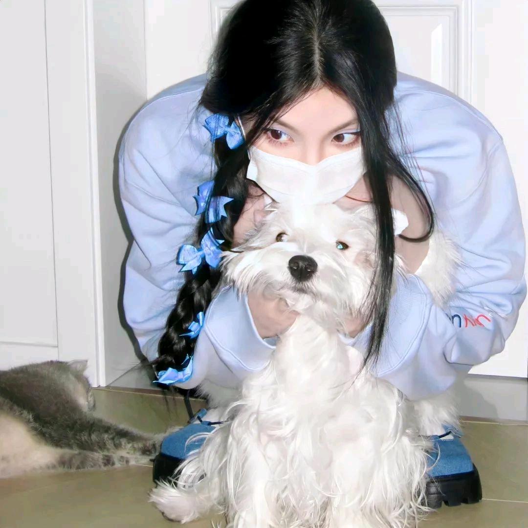 窝是幸福小狗不是倒霉熊