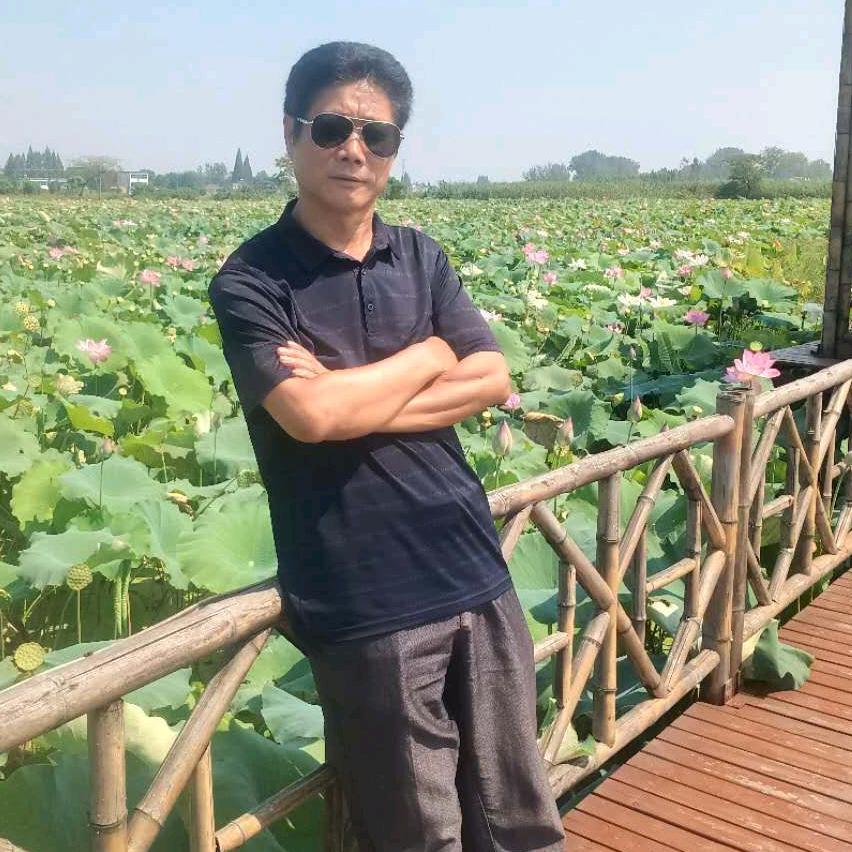 杨四郎