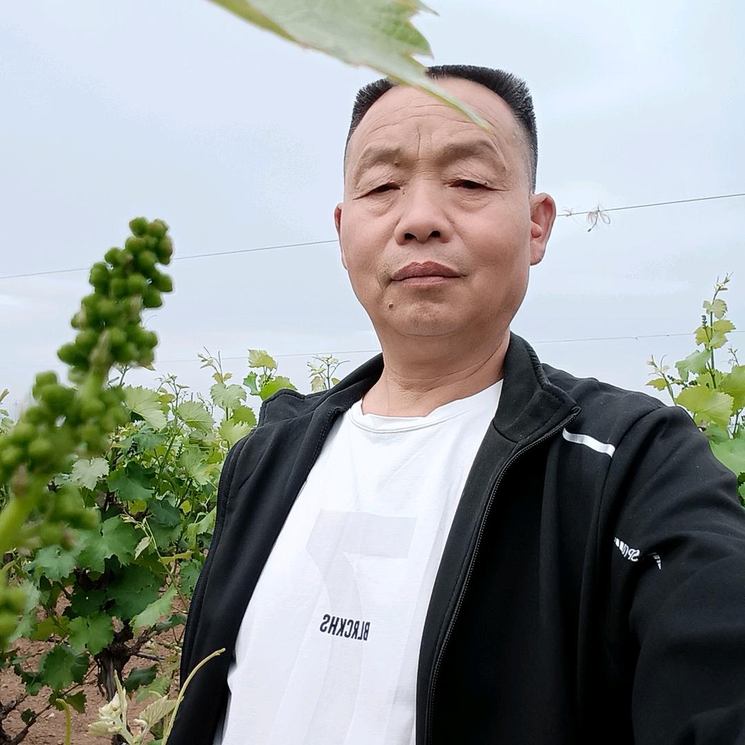 前程似锦{张}