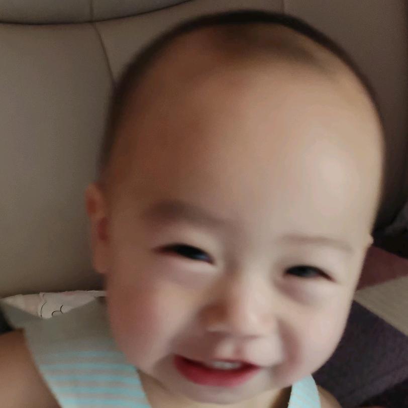 宁云果