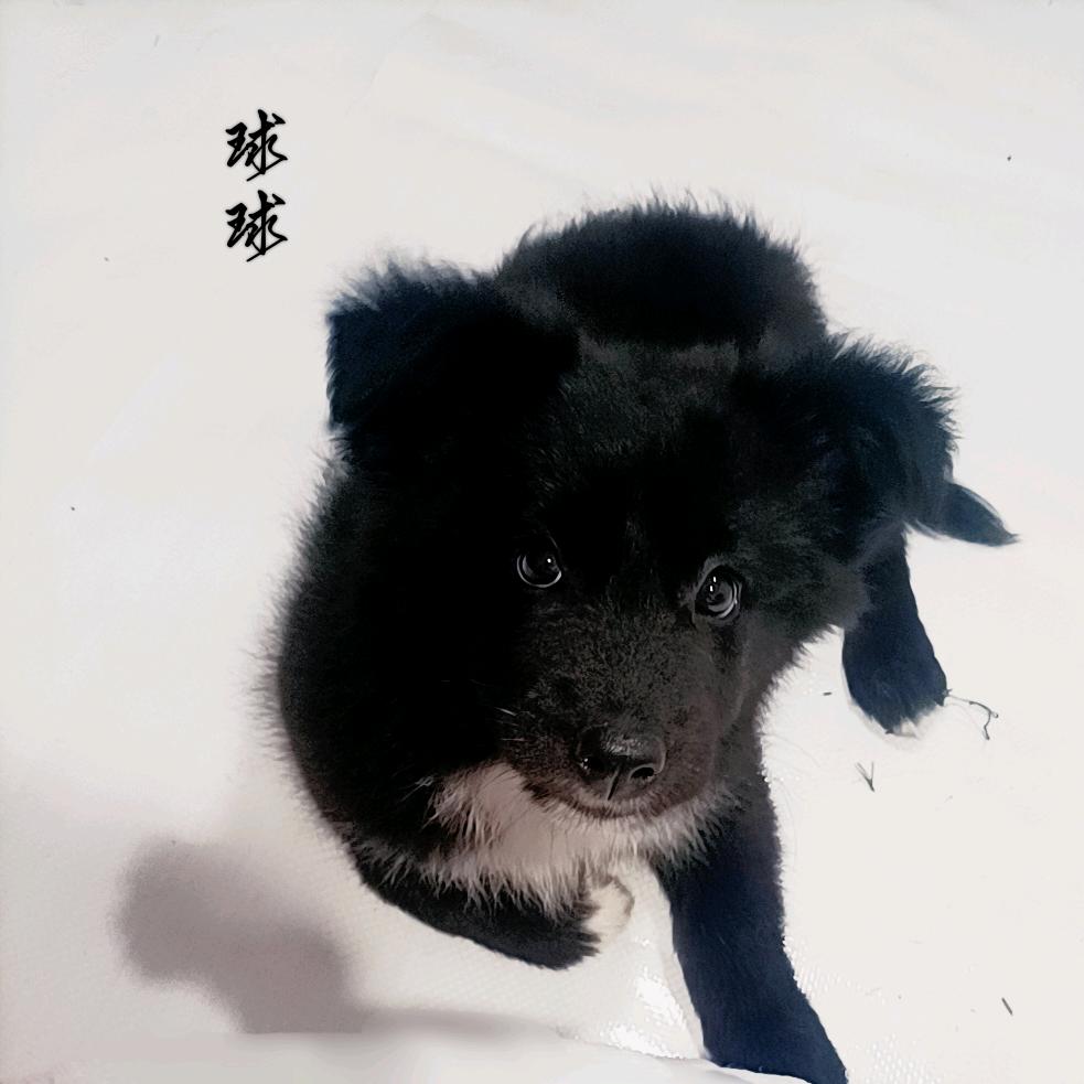 看   机场有船！