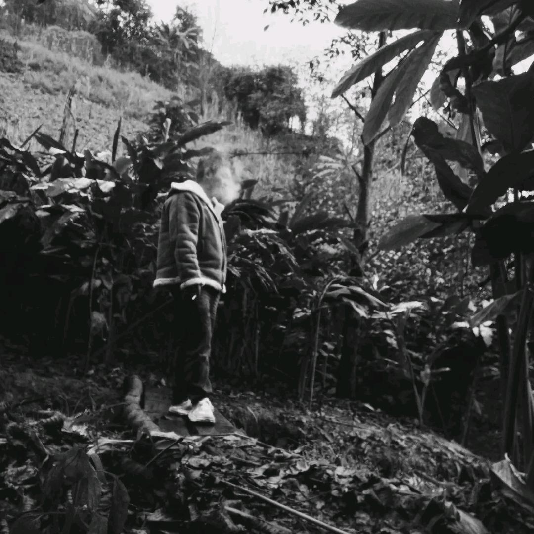 福贡最后的单纯😓