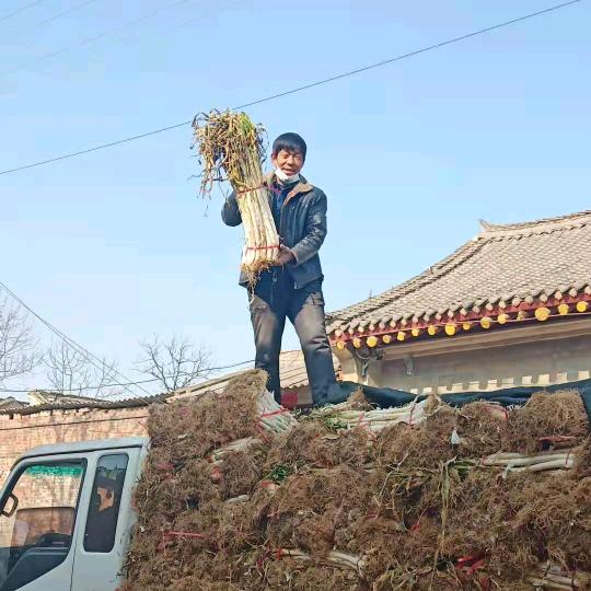 晋建军