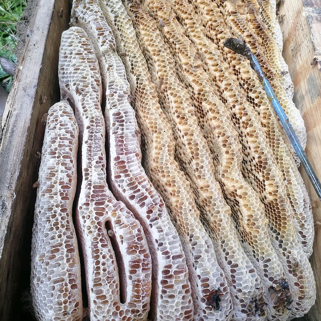 小桥流水