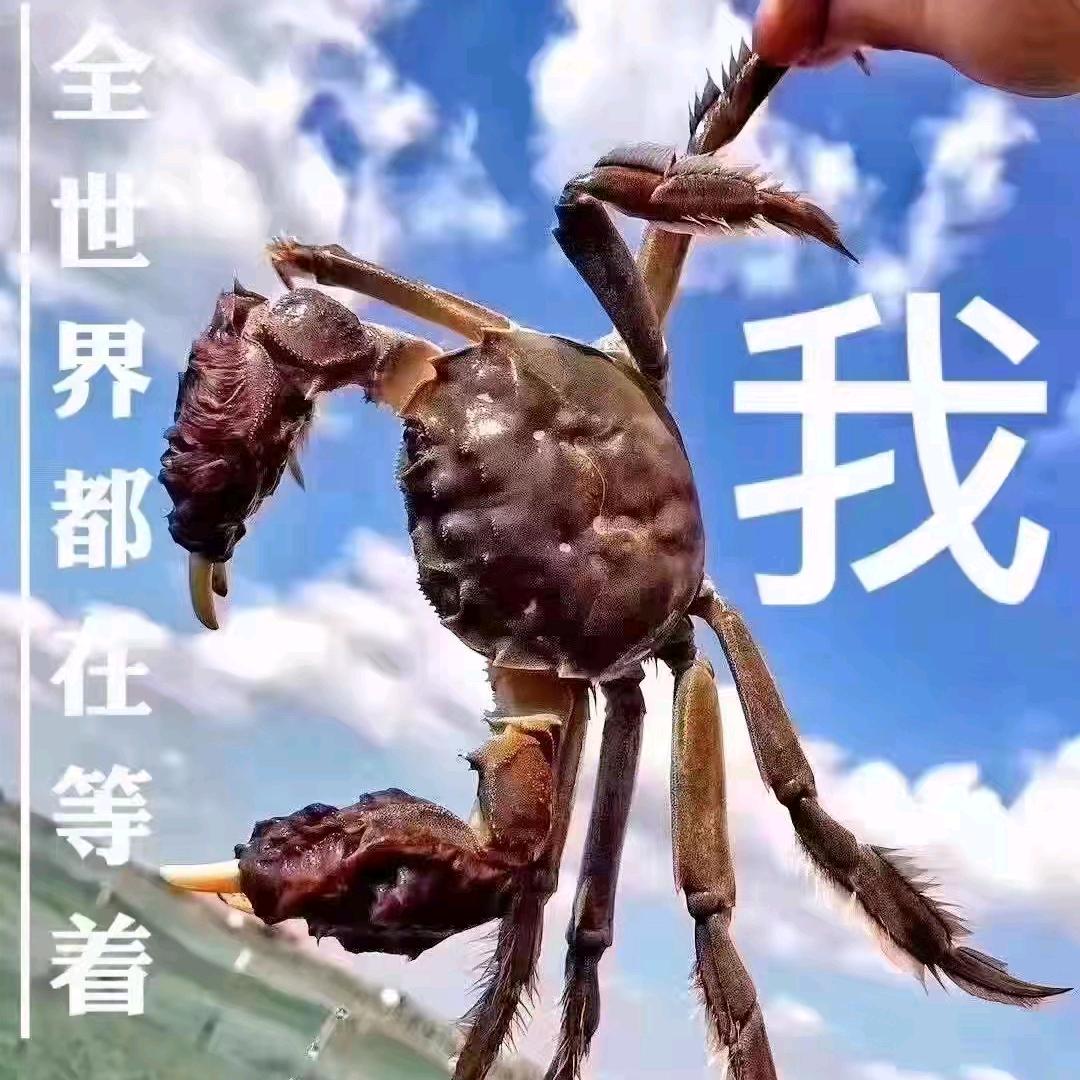 大闸蟹小龙虾批发部头像