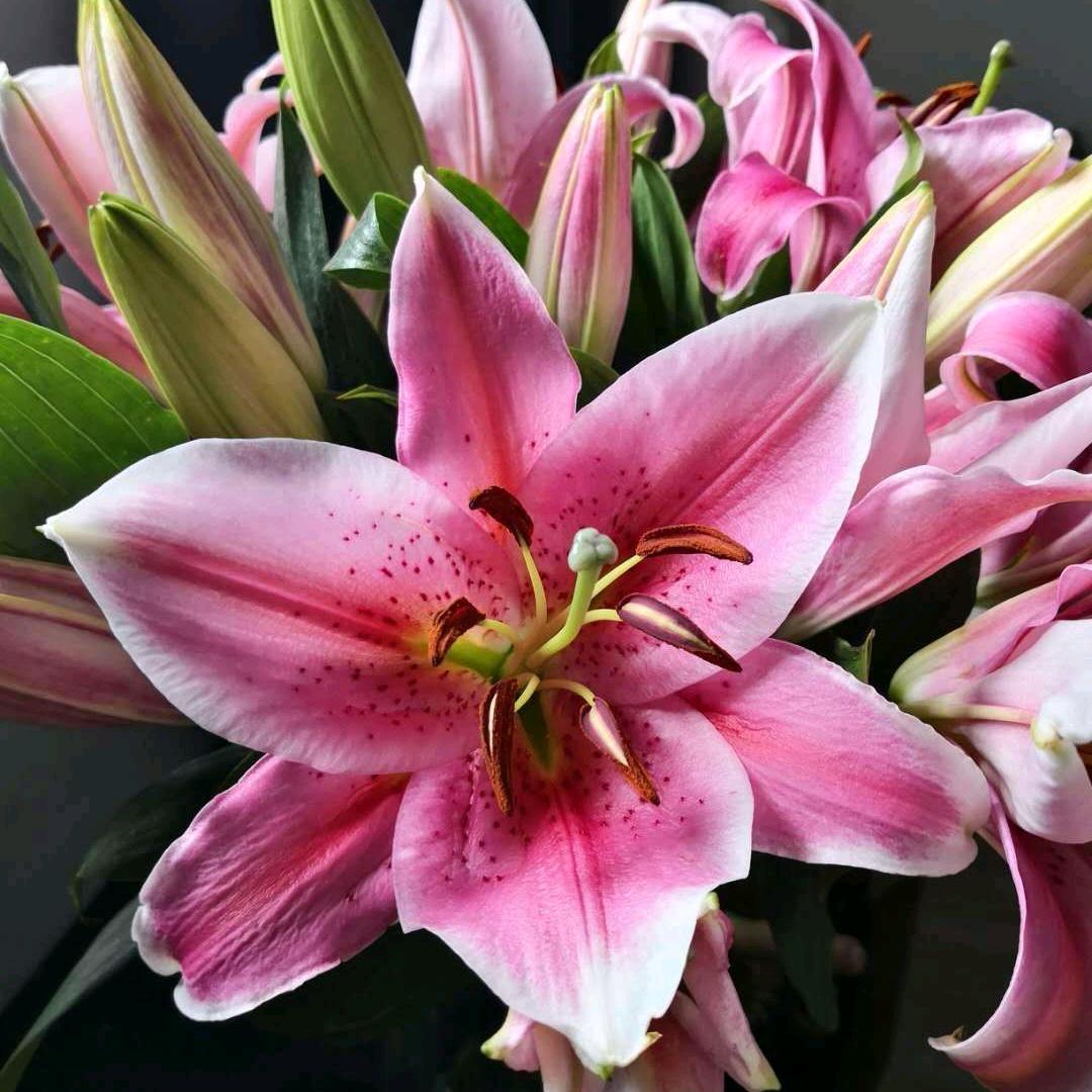 诺相依💋莫离弃