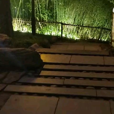 梦里一生
