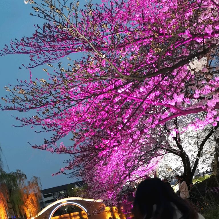 师傅师傅