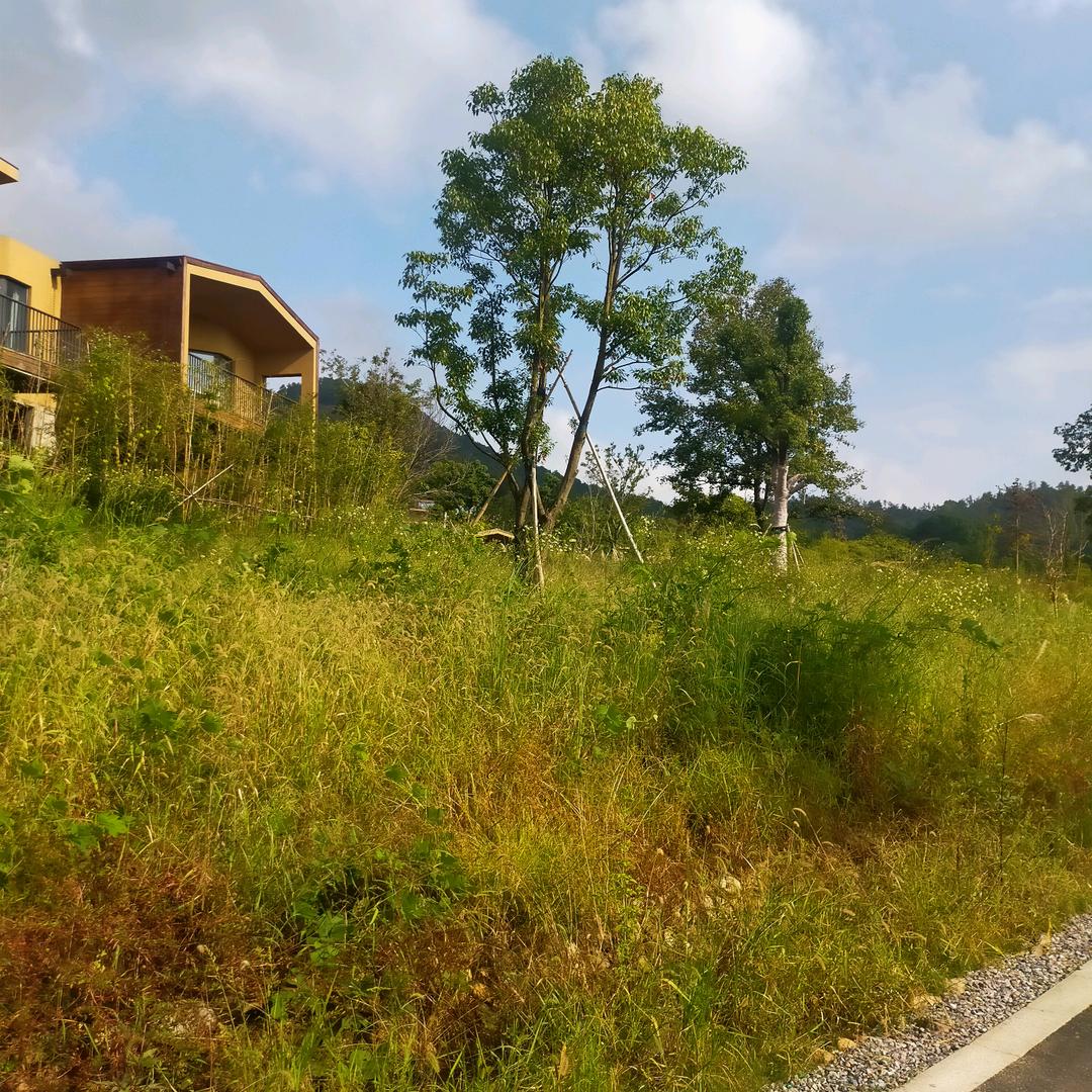 🦋এ᭄我姓ꦿ刘💔