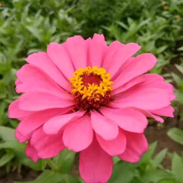 🌈暖阳🌹
