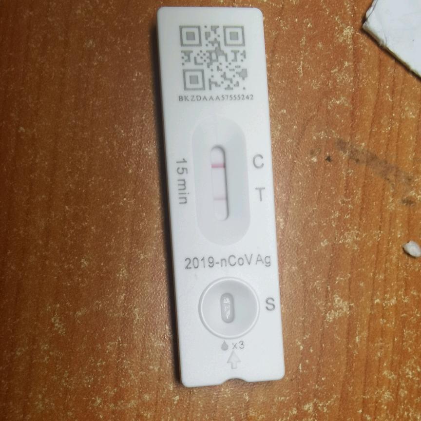 亲切阳光fl
