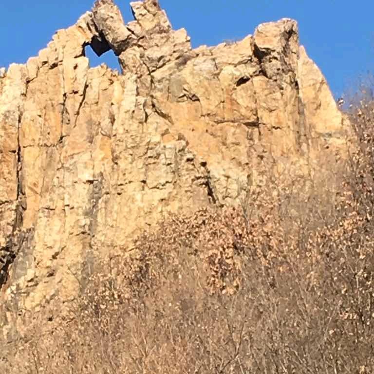 张家口市桥东区维家小院烧烤店