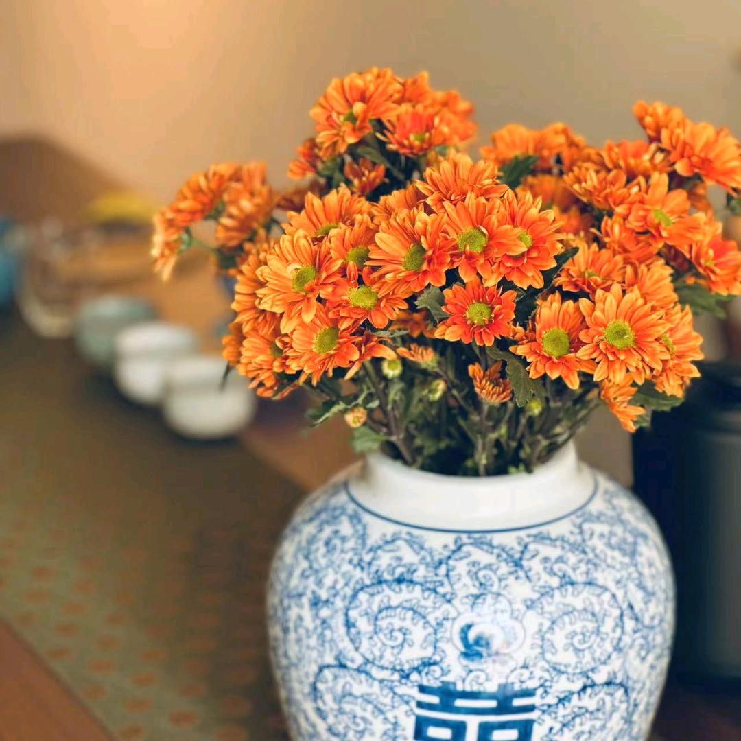 所想皆所愿,所行皆坦途