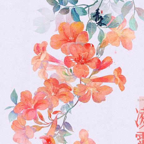 蘅月头像