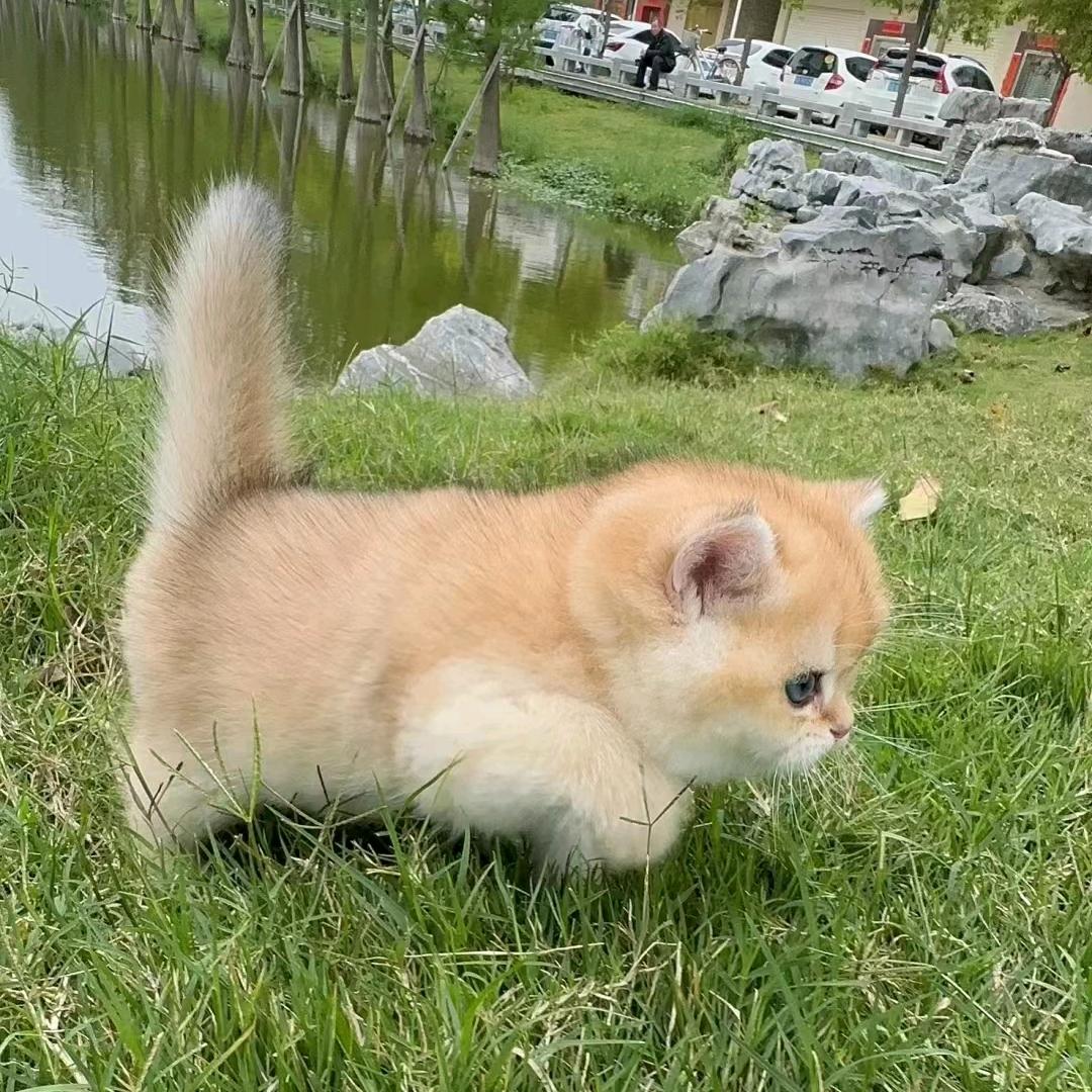 💌～梓軒LÛVЁ