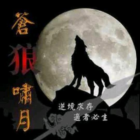 苍狼