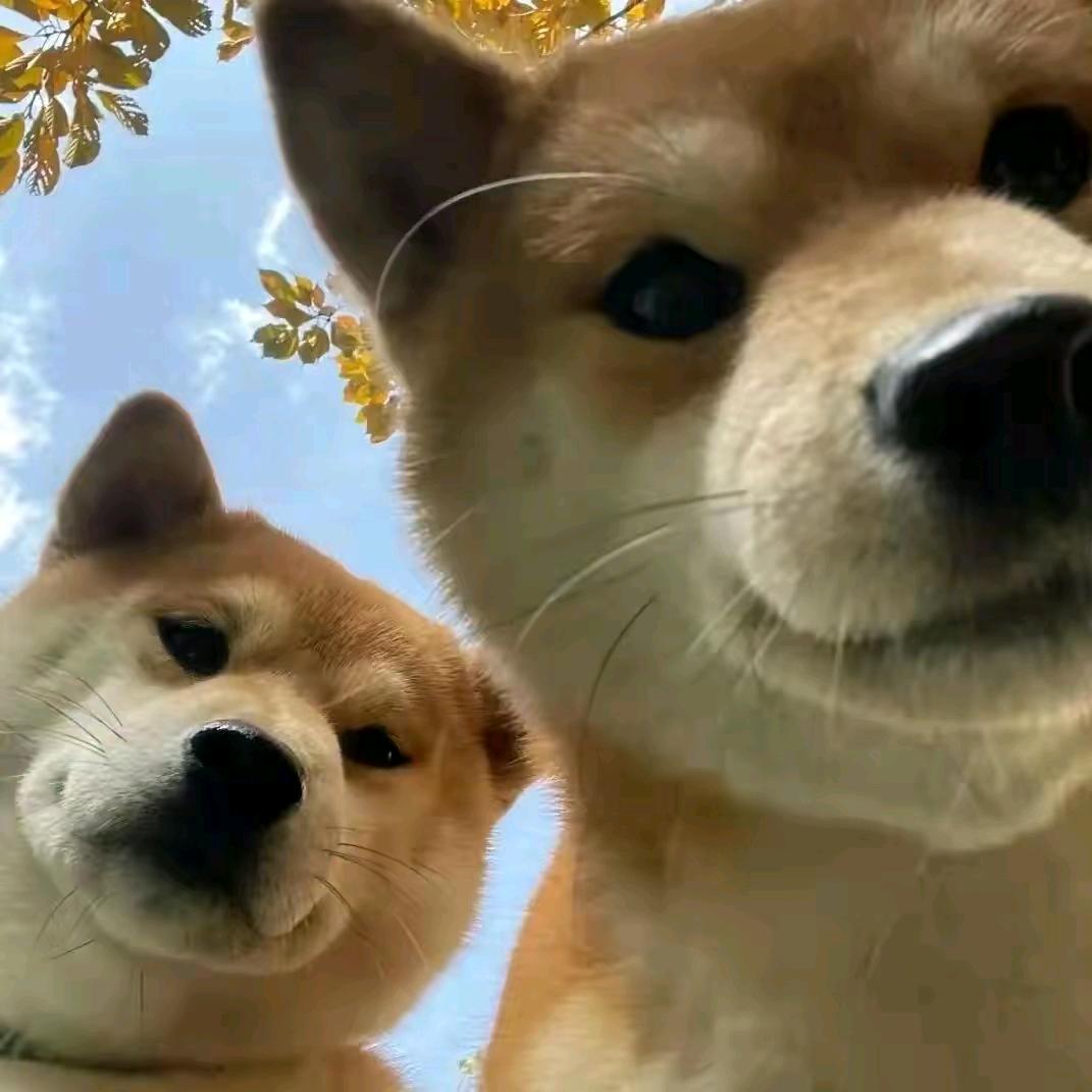 怎么做都会有瑕疵~