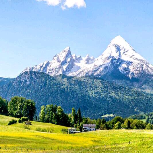 阳光心情（LD）