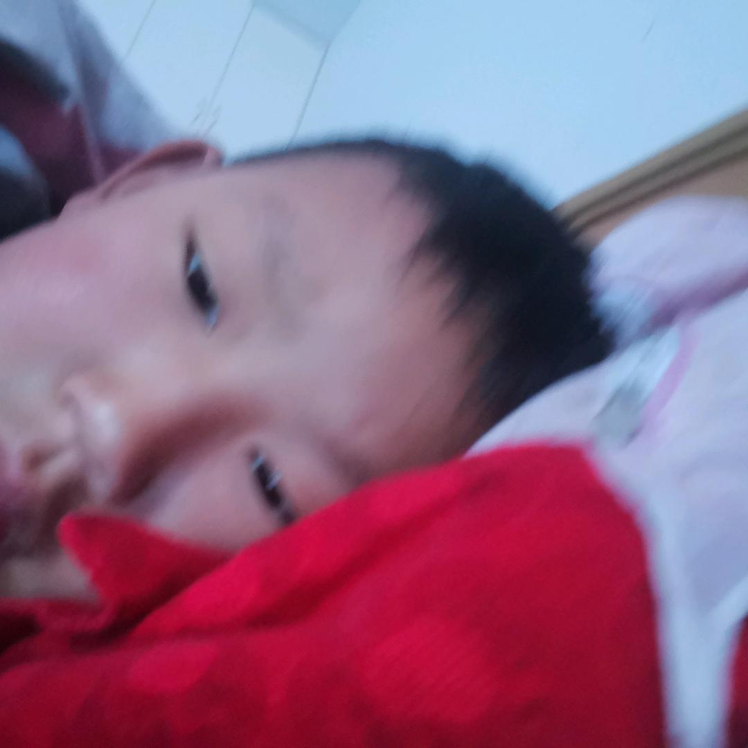 黑波养殖