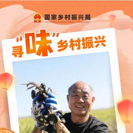 杜乃合