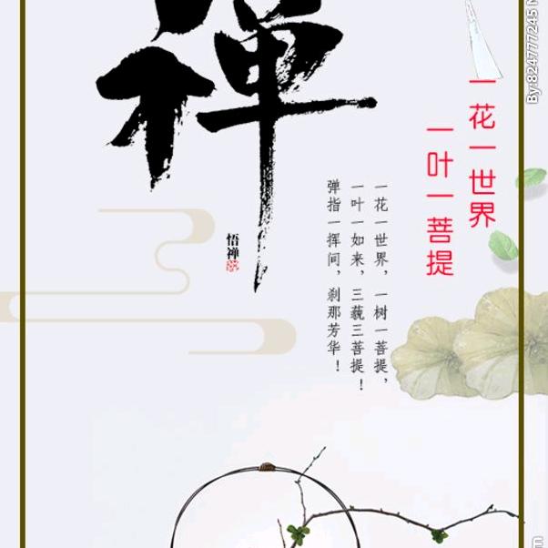 肥城市红云禅拍