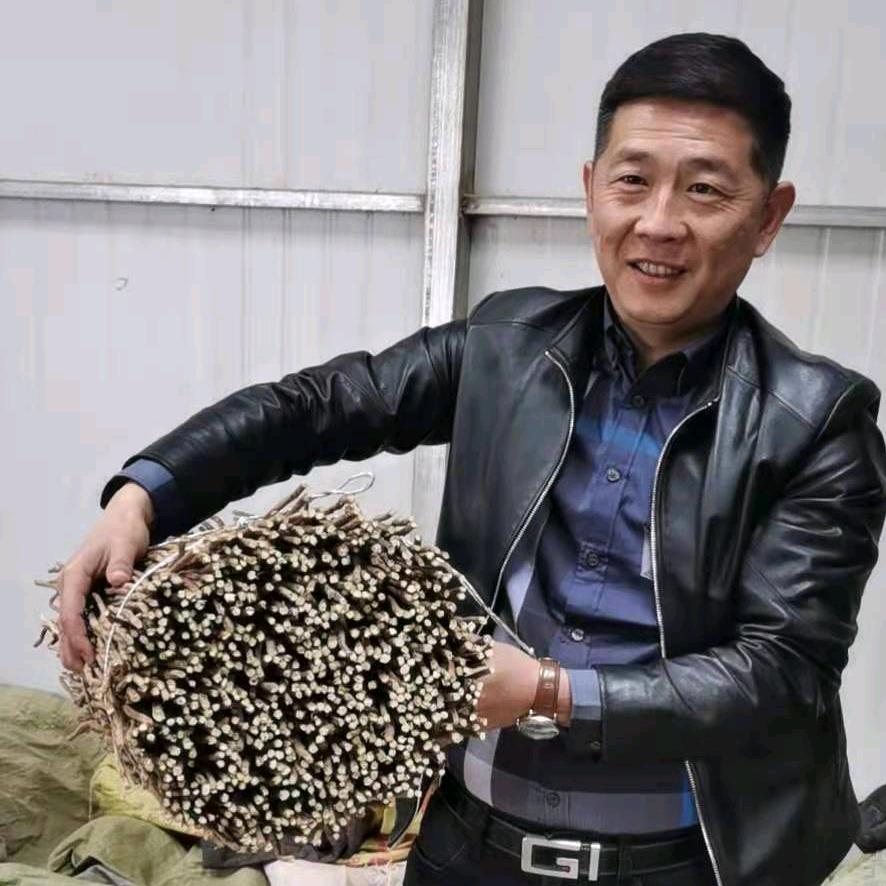 孙小虎，陕北高含量甘草