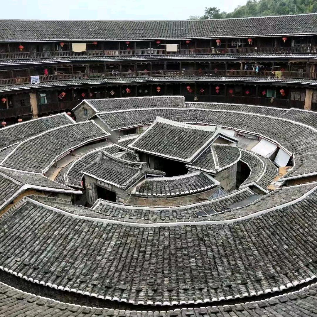 老白杨