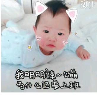 宝宝动画片