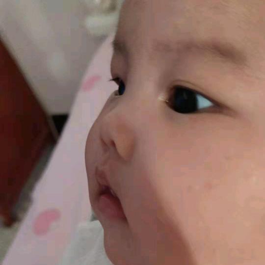 本村人可以聊天了