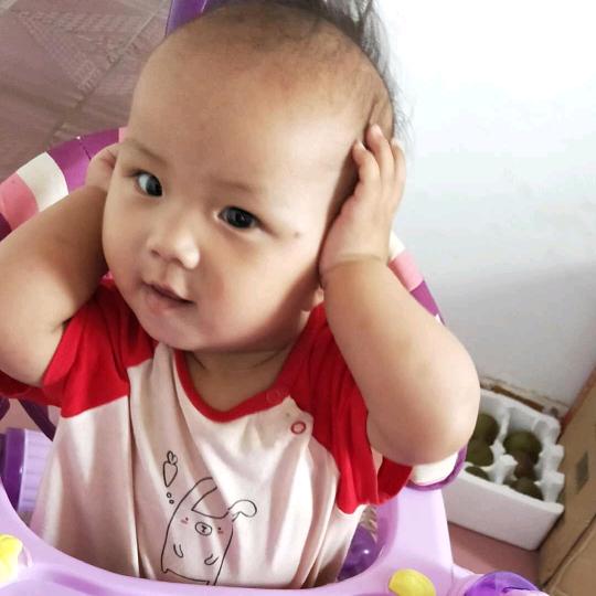 宏珍瑶航