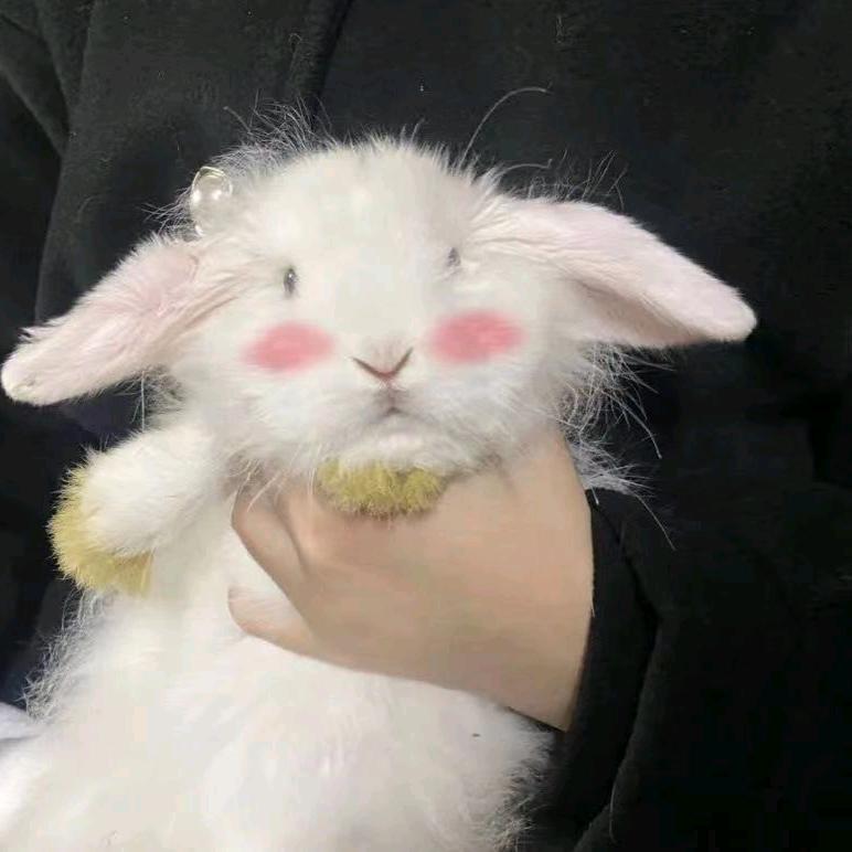 执笔