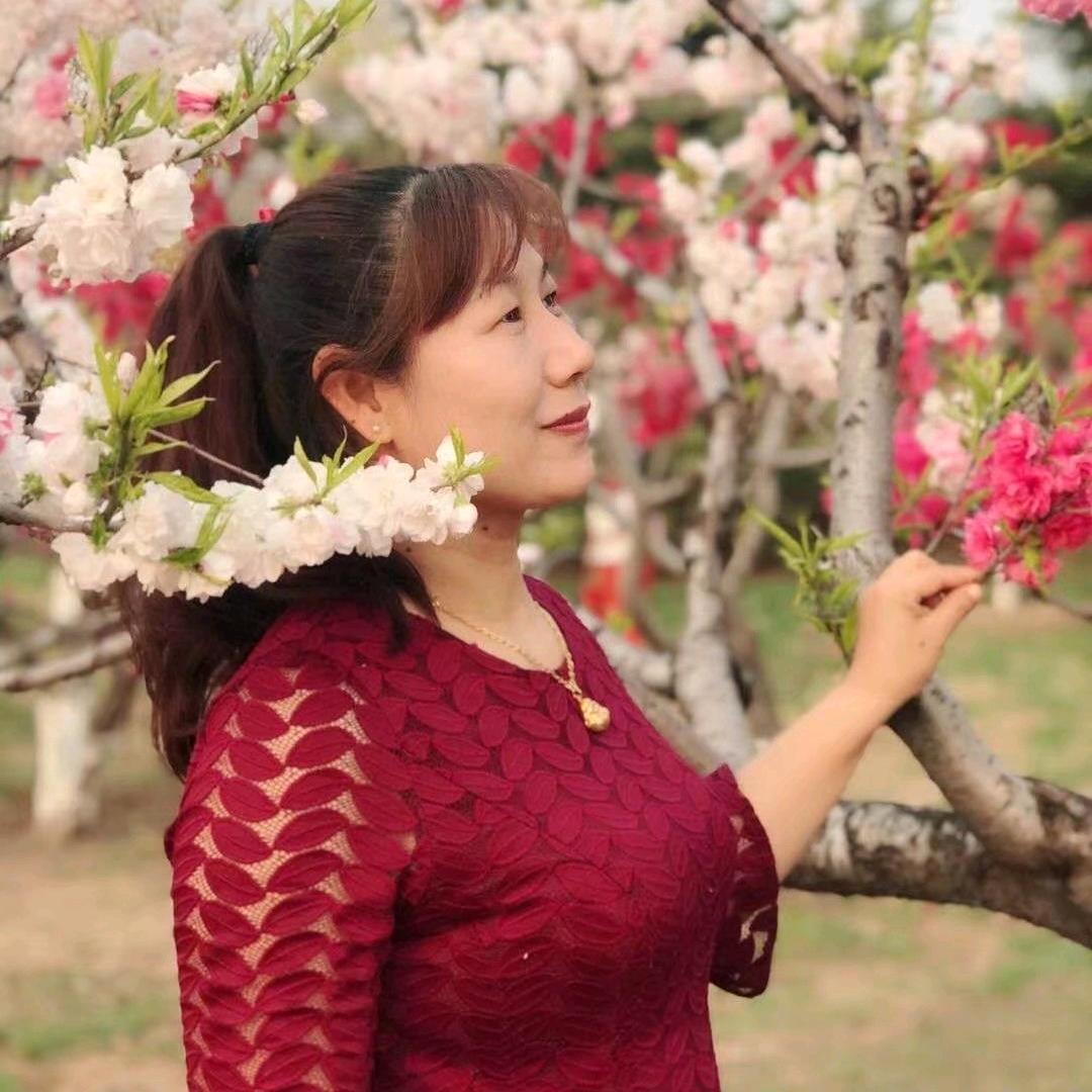 幸福樱花