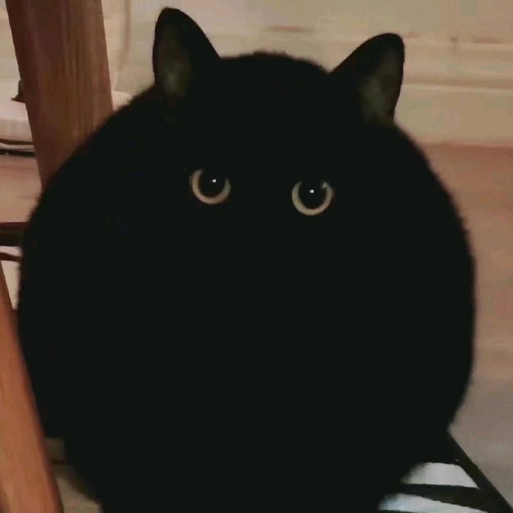 萧萧owo