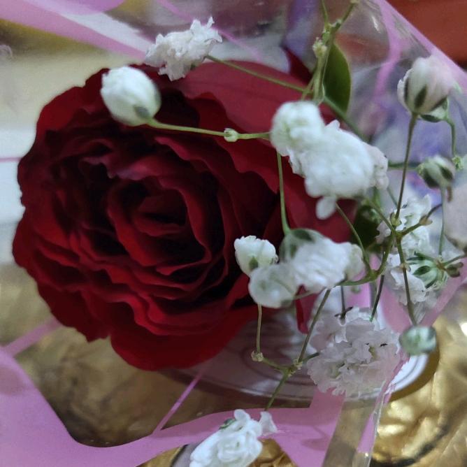 ♥楚旺3号路手工活☜♥