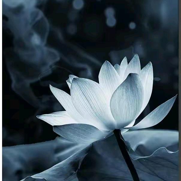 我要破两千