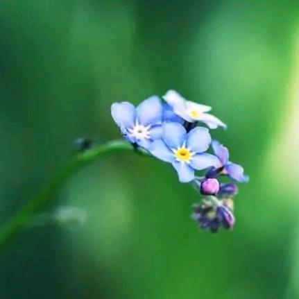 帘🎋帘🌹布🍀设🌾