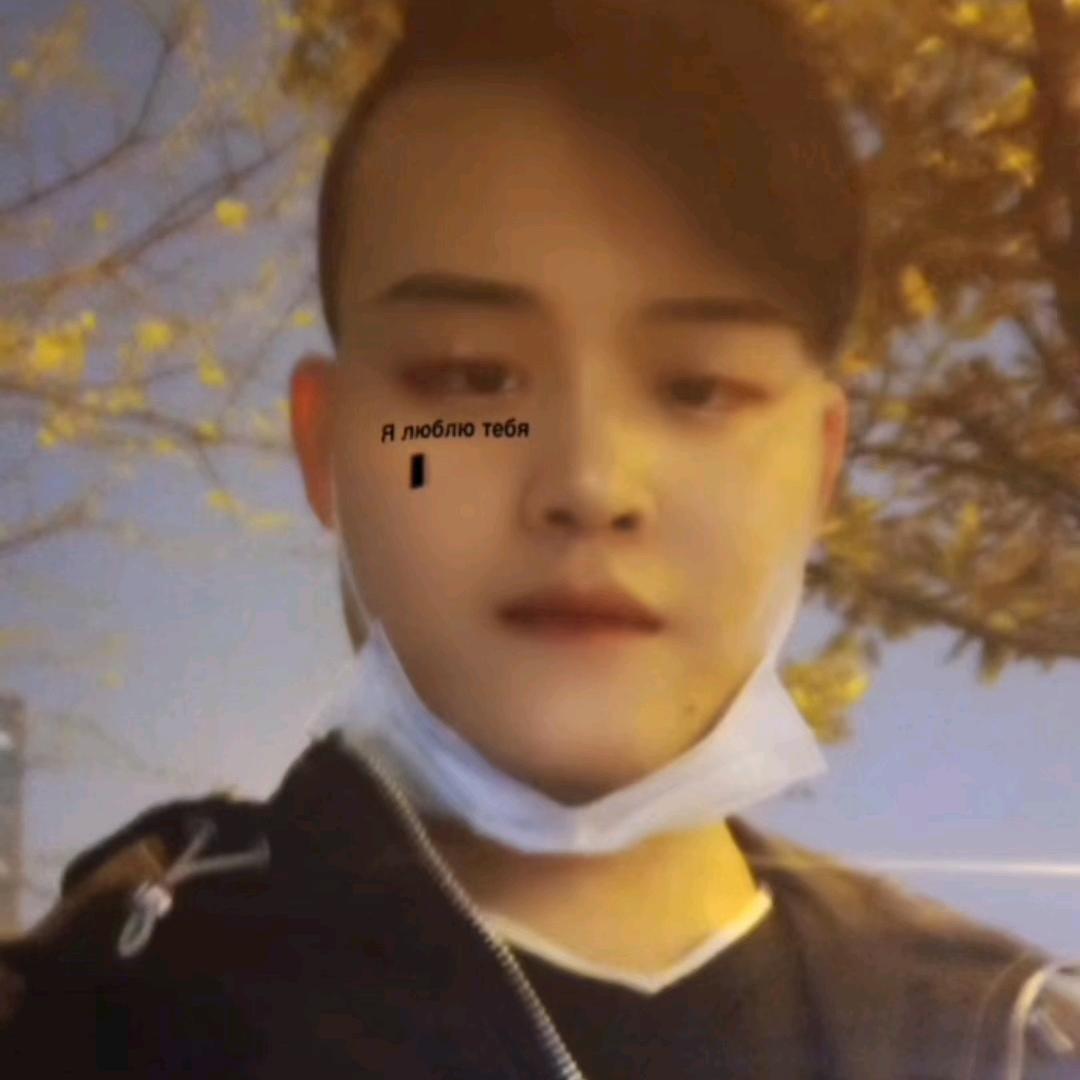 🈳🈳城