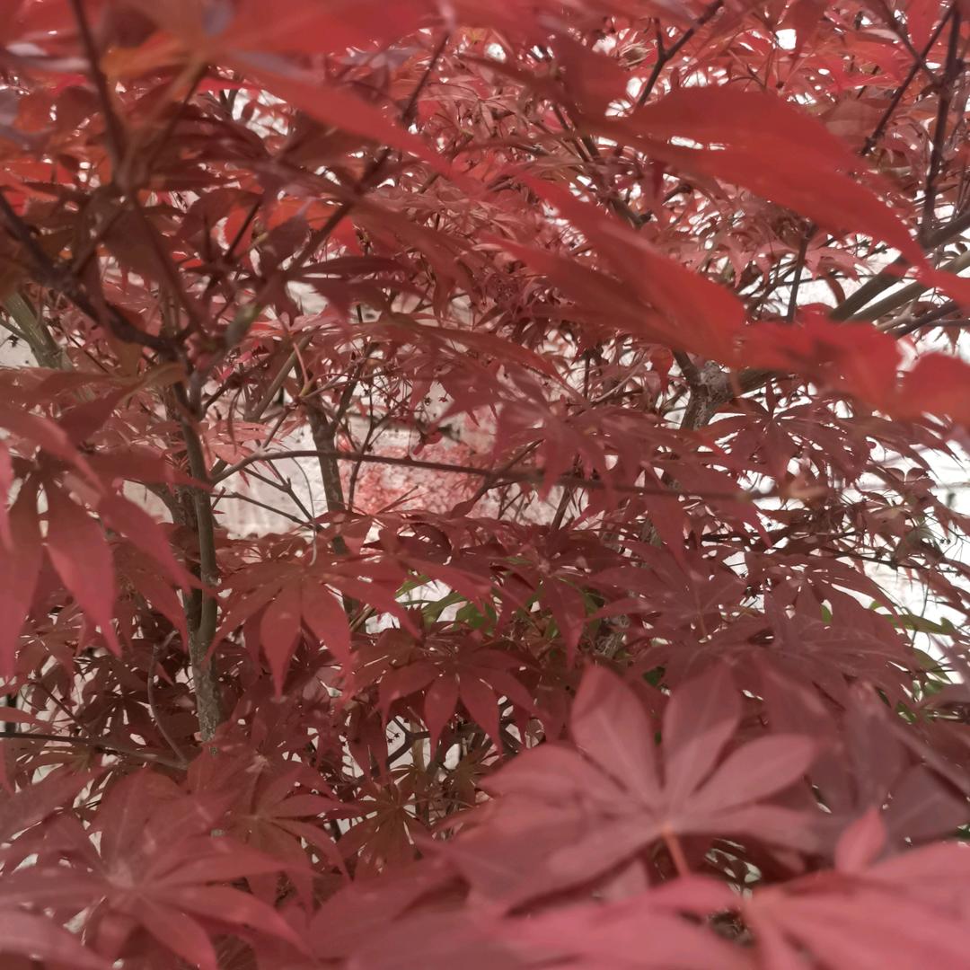 陶姐