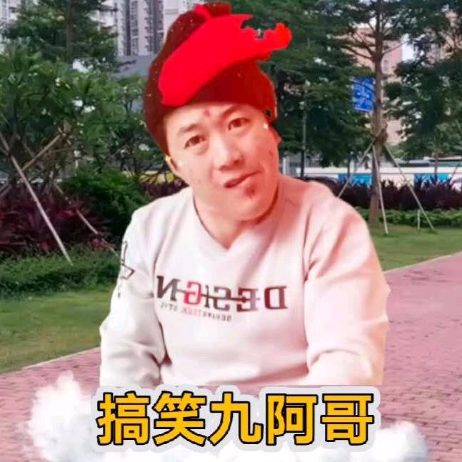 定兴九阿哥